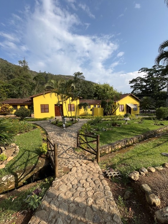 Yellow country house with palm trees and a stone path